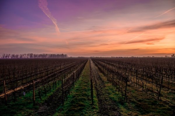 climat-bordeaux-nouvelle-aquitaine