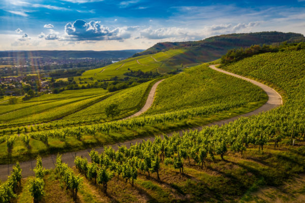 vignoble-bourgogne-franche-comte