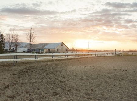 paddock-domaine-equestre