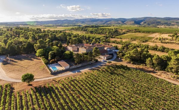 Exceptional winegrowing estates: winegrowing bliss in the heart of nature