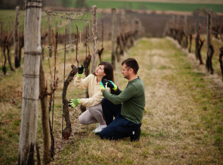 vigneron-domaine