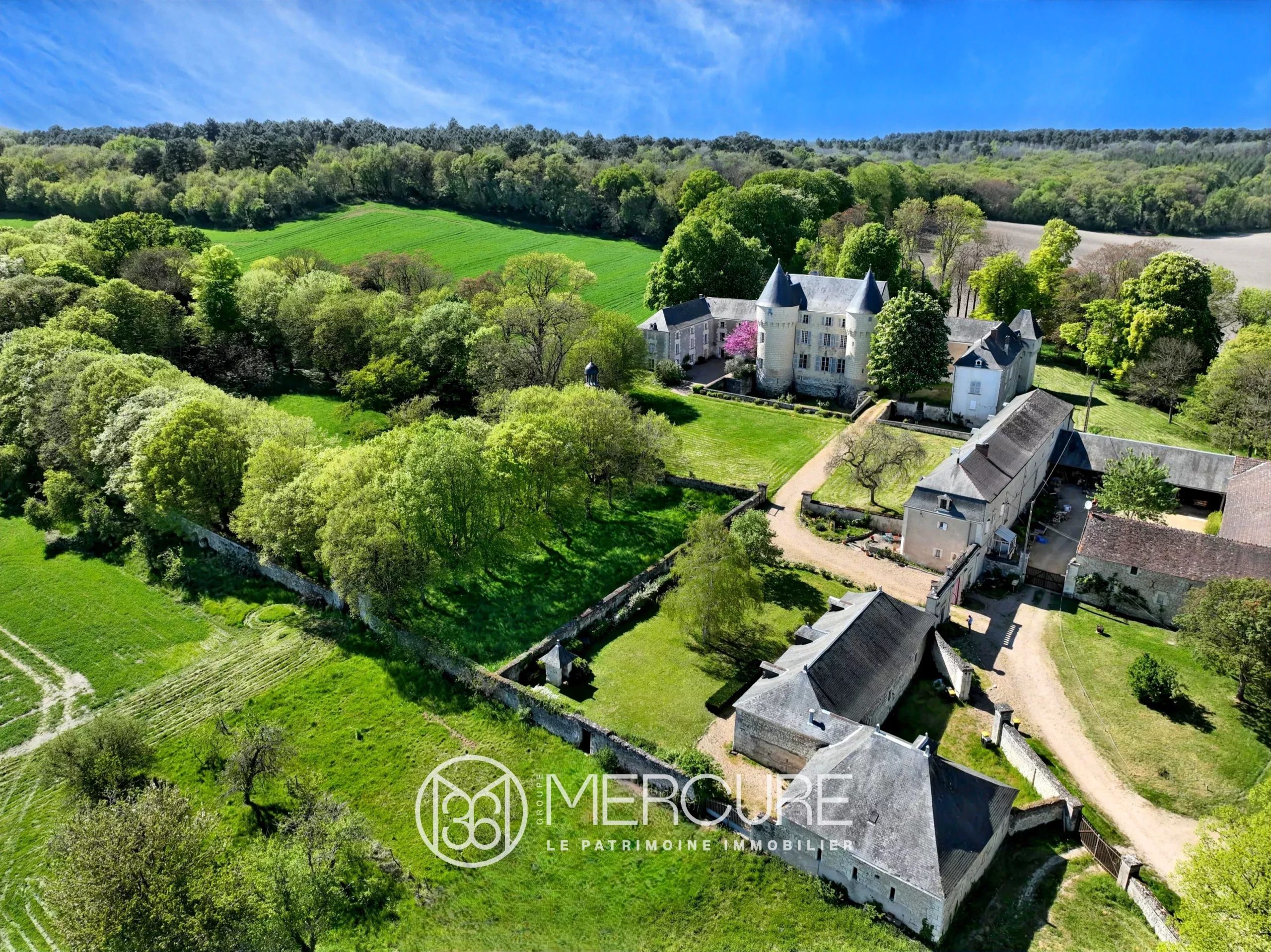 CHATEAU XV-XVIIe IMH avec COMMUNS et FUIE sur 100 HA - 10369PO