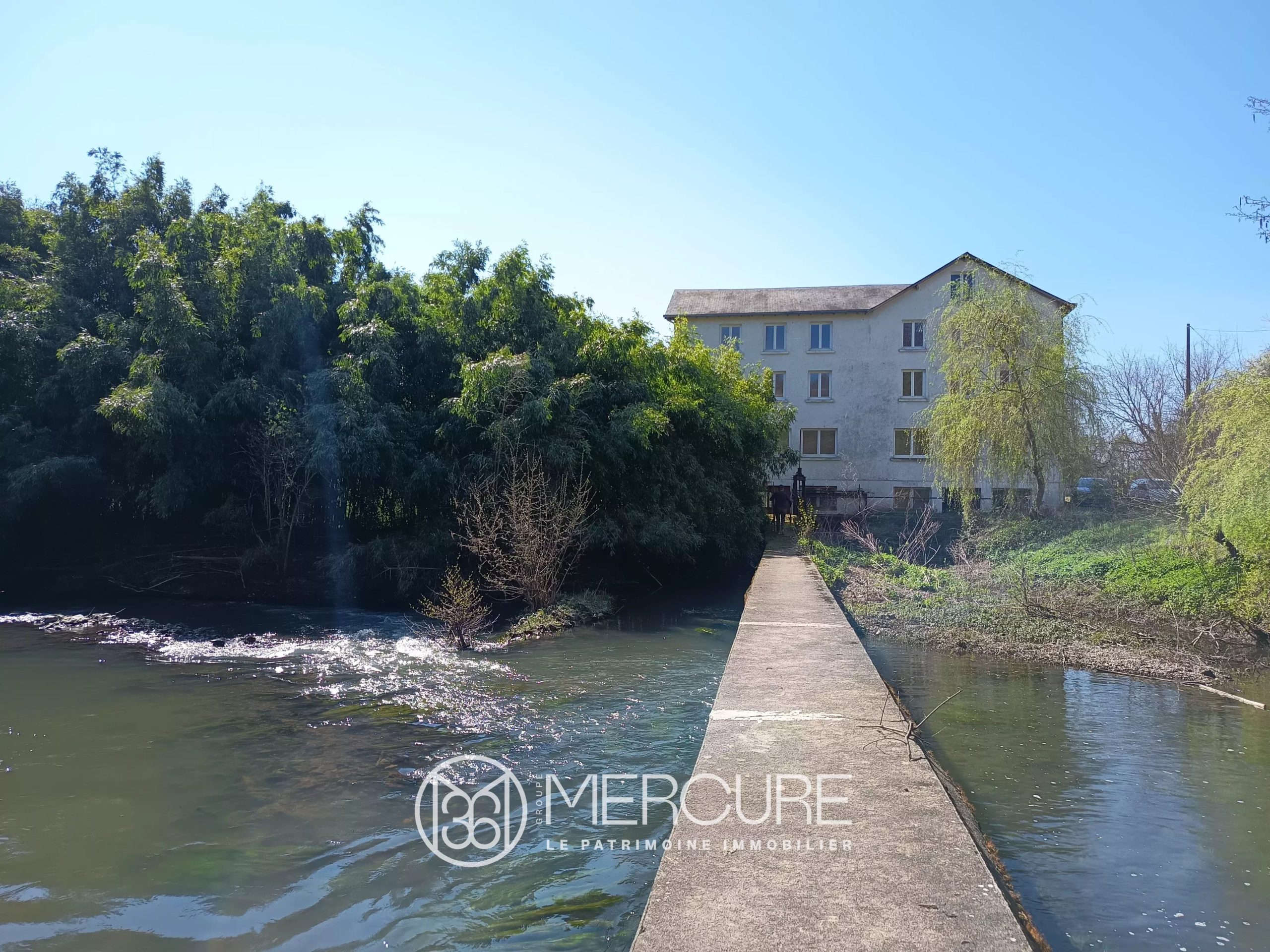 Old mill on the banks of Charente - 23422