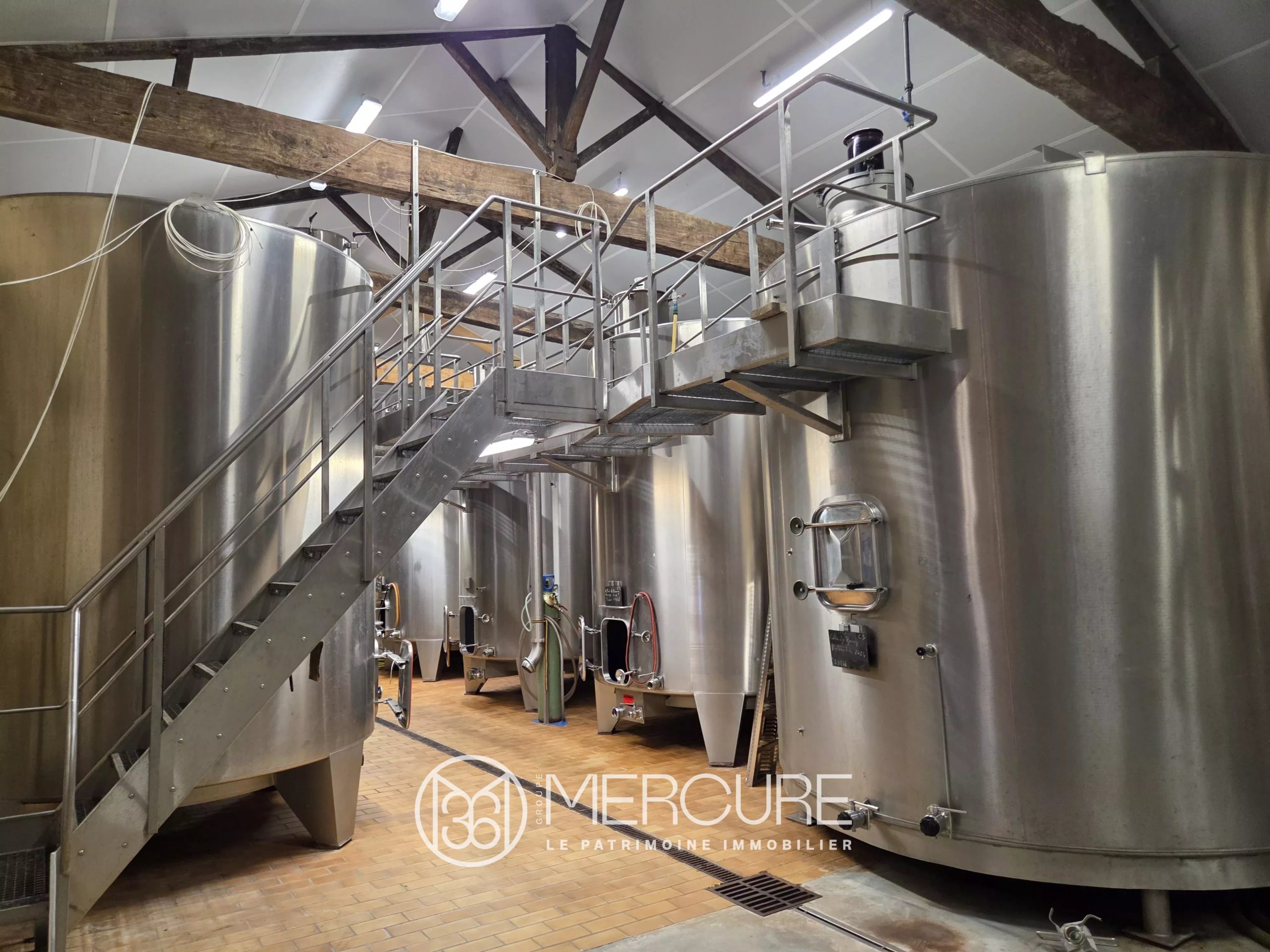Vignoble 30 ha - 901054bx