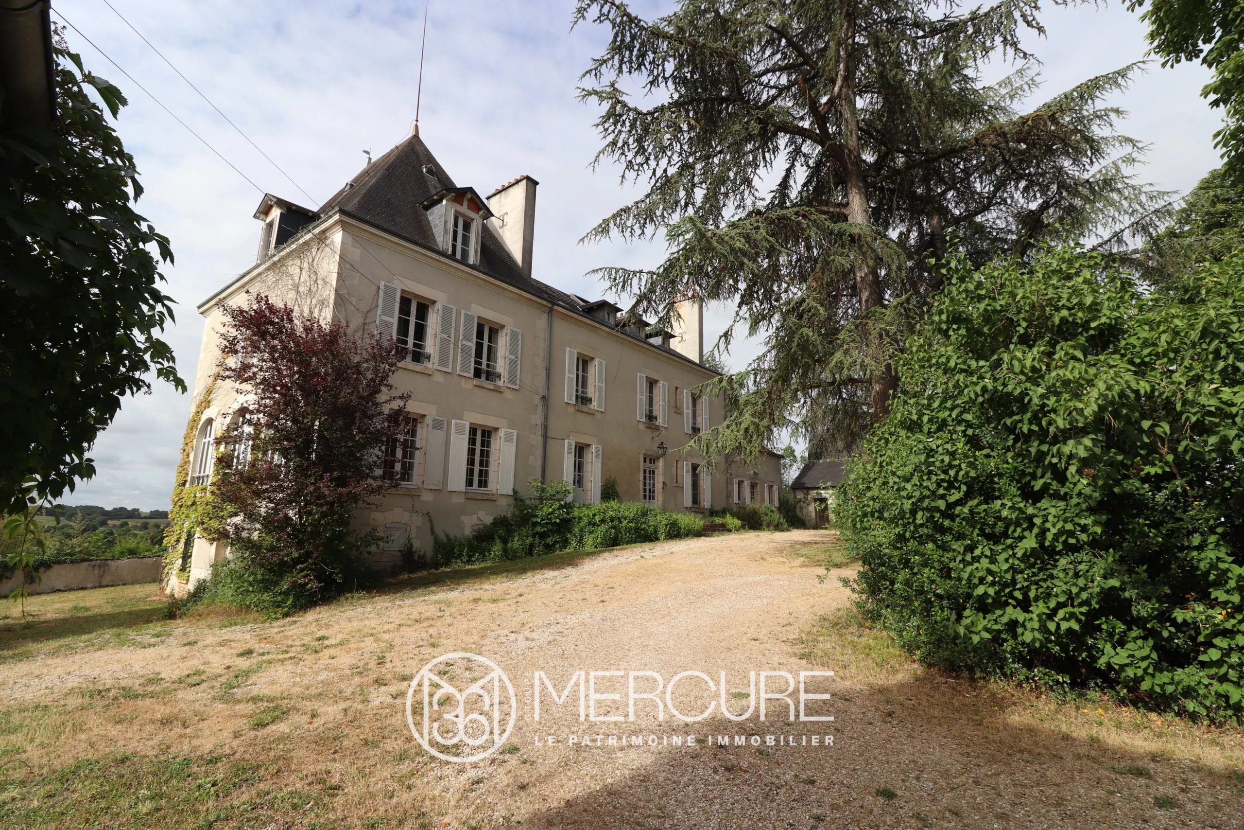 A charming castle and exceptional estate in Brenne - 10384PO