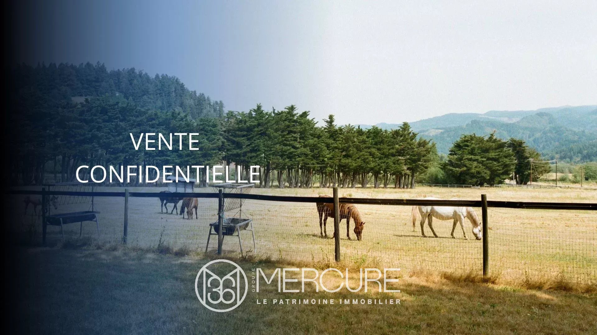 A 30 mn de Deauville, Haras de 40 ha avec 80 boxes - 21250NO