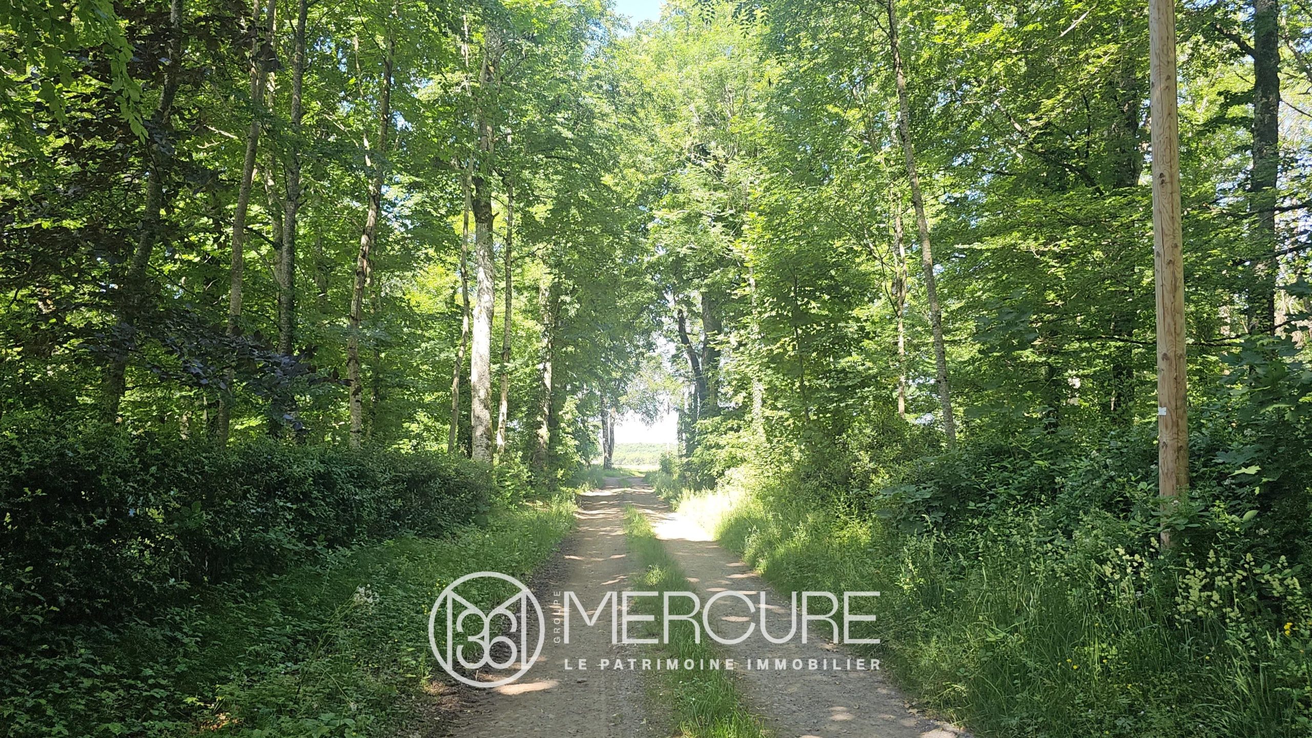 CHATEAU ET NATURE PRÉSERVÉE - 9355TS