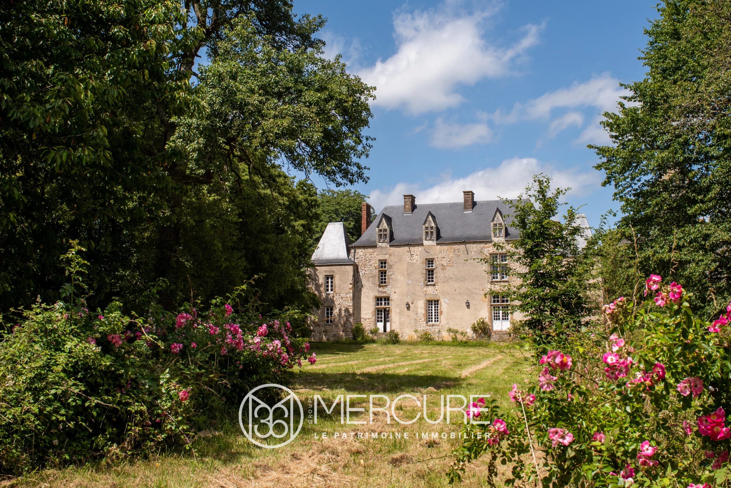MAGNIFIQUE MANOIR - 21665PL