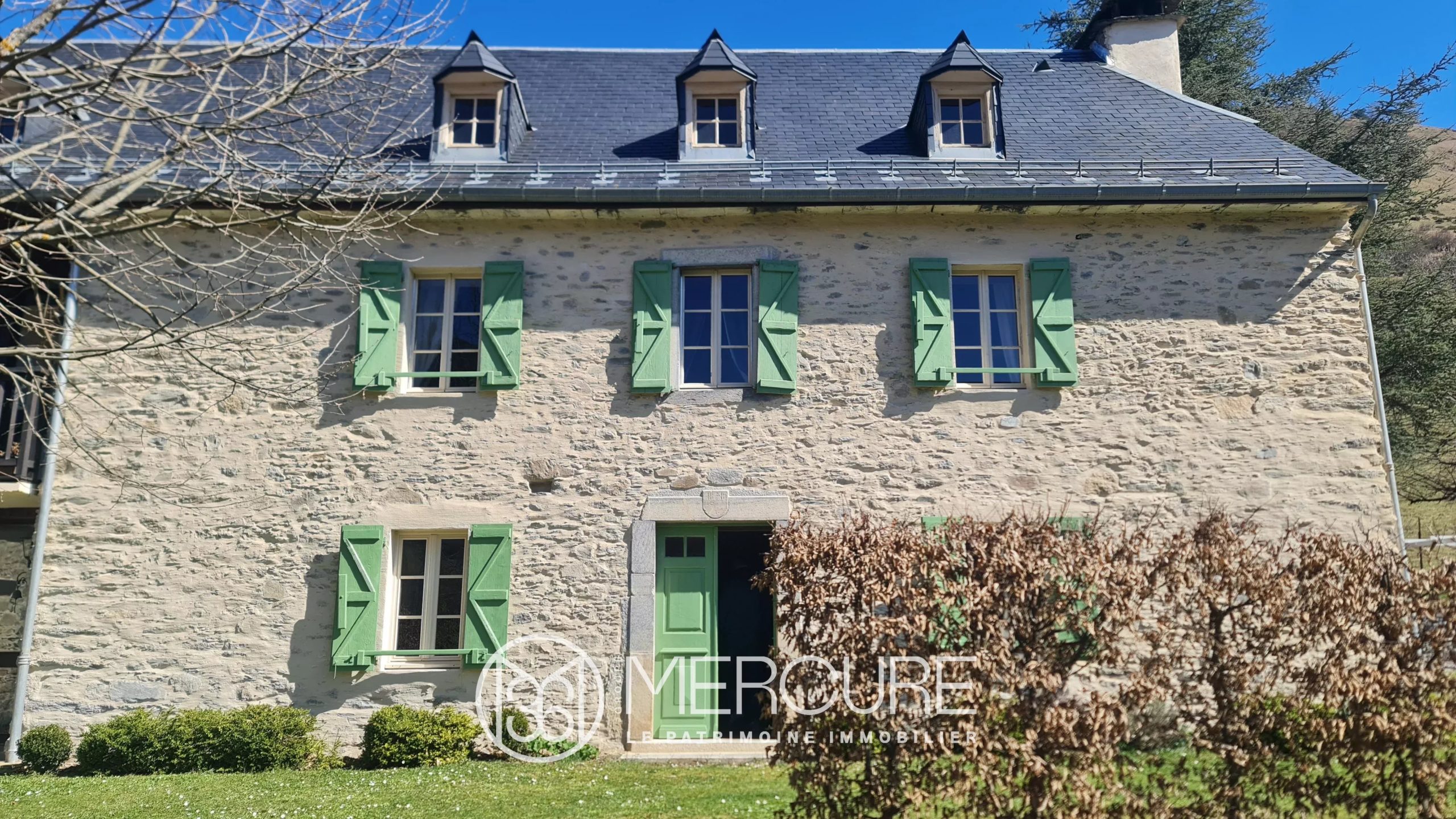 PROPRIETE AU COEUR DES PYRENEES - 9341TS