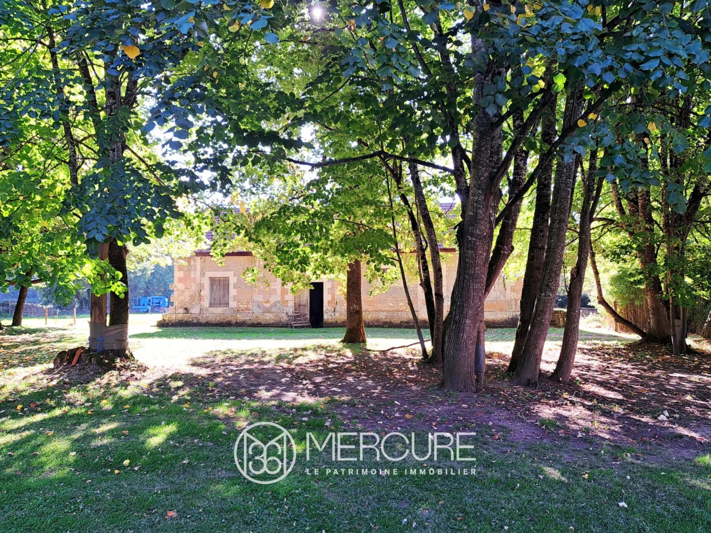19th-CENTURY CHATEAU NEO GOTHIC ELEGANCE IN THE HEART  OF THE SAINTONGE COUNTRYSIDE - 10234PO