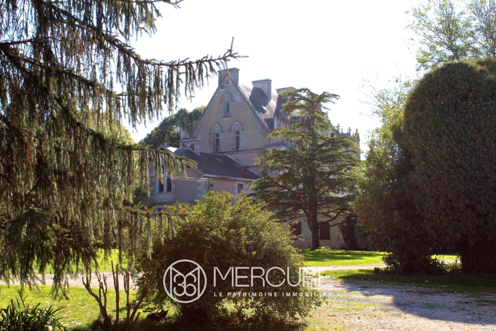 19th-CENTURY CHATEAU NEO GOTHIC ELEGANCE IN THE HEART  OF THE SAINTONGE COUNTRYSIDE - 10234PO