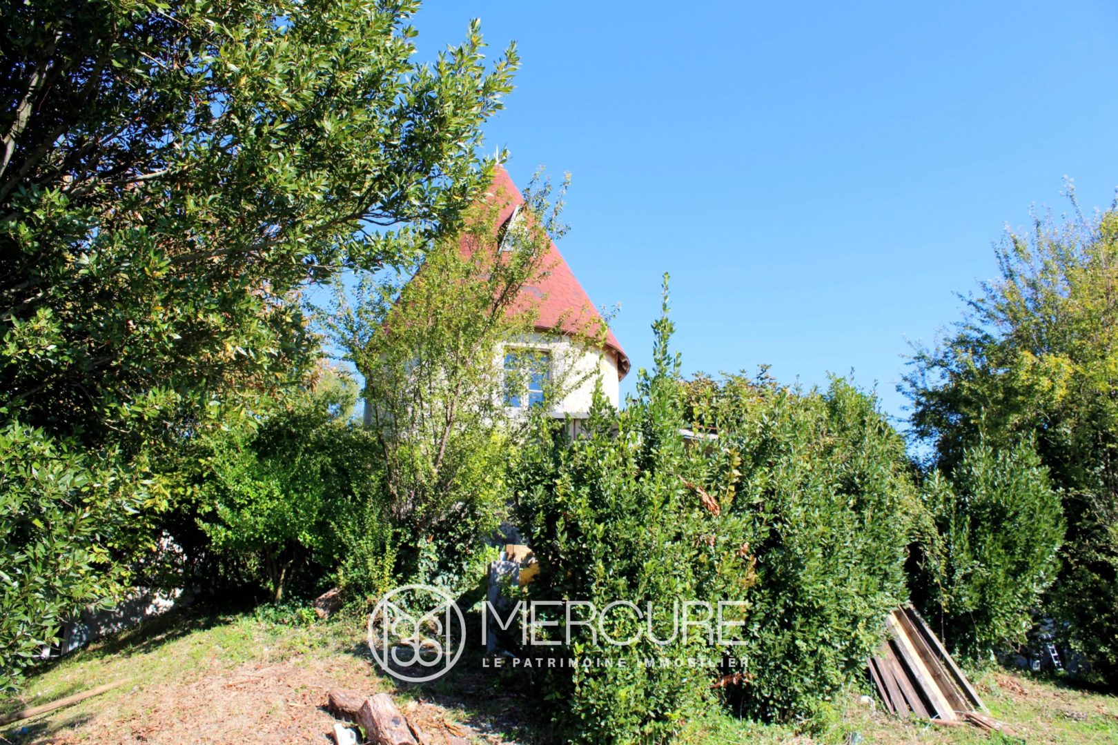 MAISON DE FAMILLE & MOULIN AU COEUR DE LA CAMPAGNE DE HAUTE SAINTONGE - 10235PO