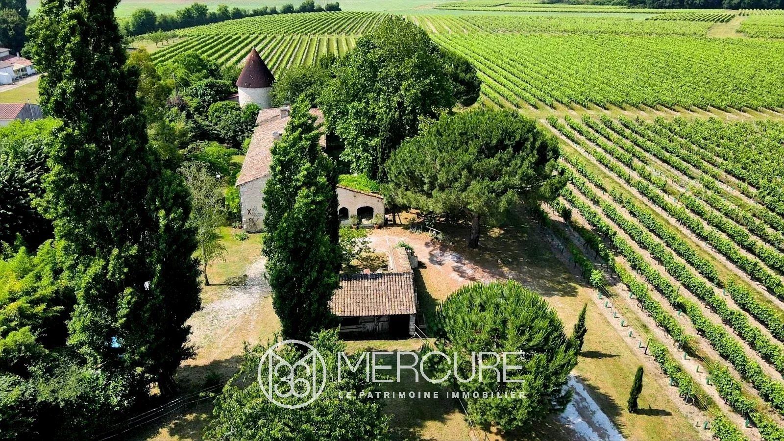 MAISON DE FAMILLE & MOULIN AU COEUR DE LA CAMPAGNE DE HAUTE SAINTONGE - 10235PO
