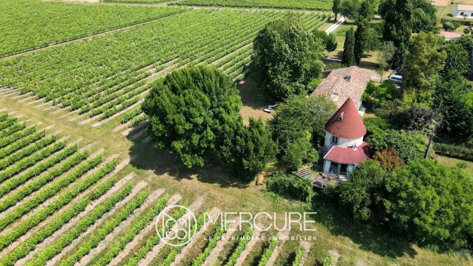 MAISON DE FAMILLE & MOULIN AU COEUR DE LA CAMPAGNE DE HAUTE SAINTONGE - 10235PO