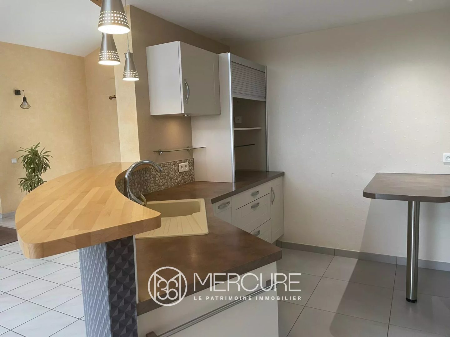 MAISON DE PLAIN-PIED AVEC VUE SUR LA RIVIERE - 10238PO