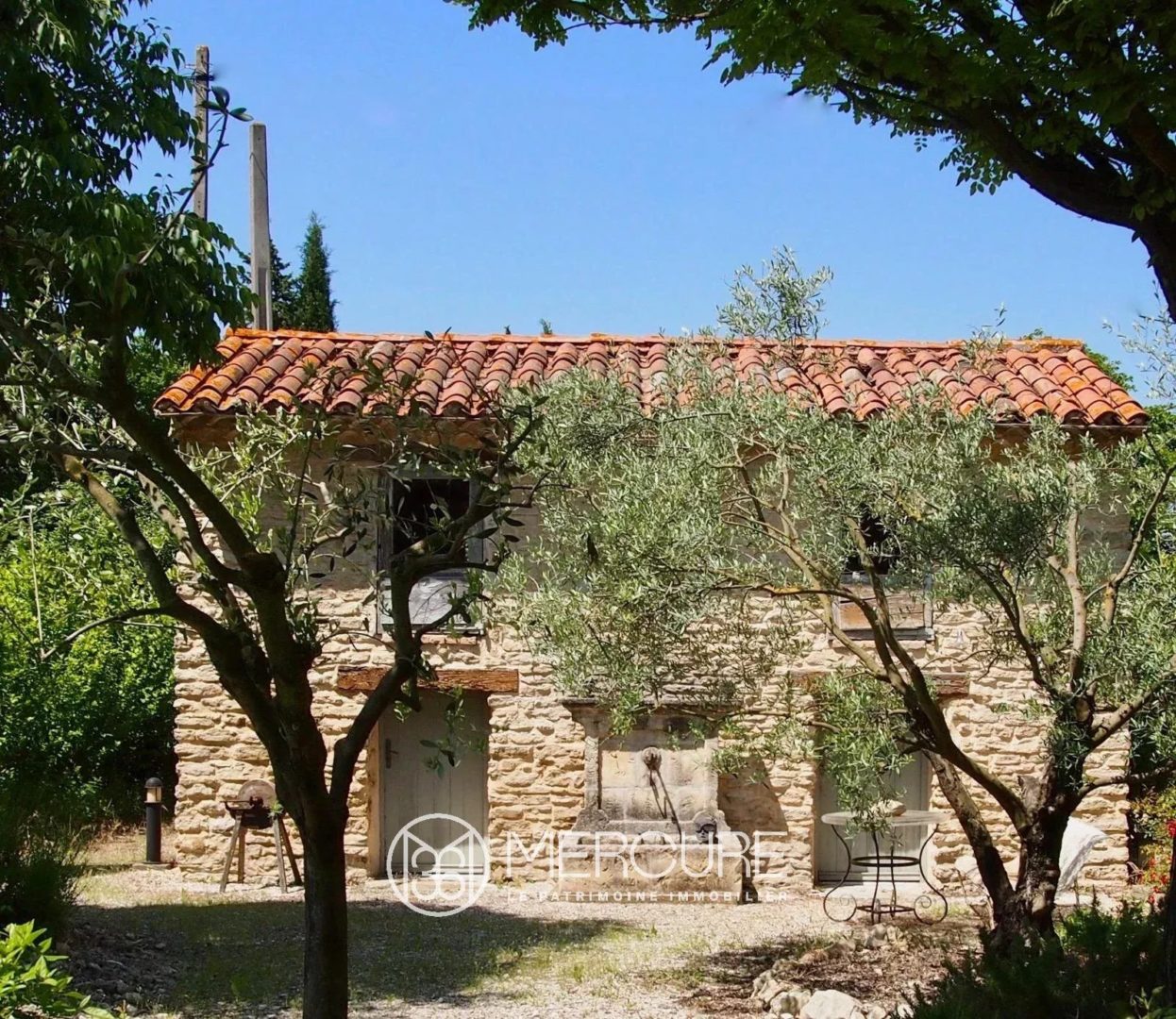 Magnifique mas entièrement restauré avec piscine et gîtes - 21138lr