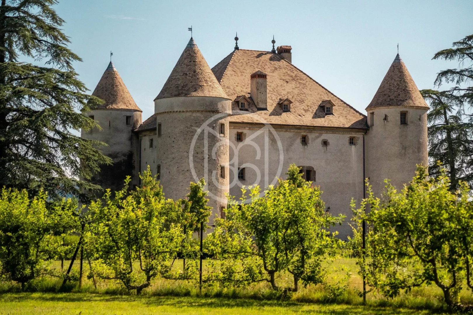 Haute-Savoie, rare 15th century chateau - 4750LY