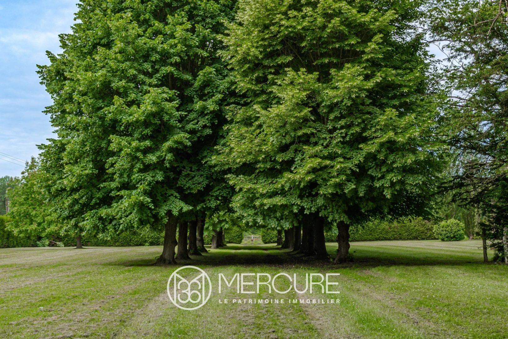 Aisne – manor house, outbuildings and park 1.8ha - 80608PI