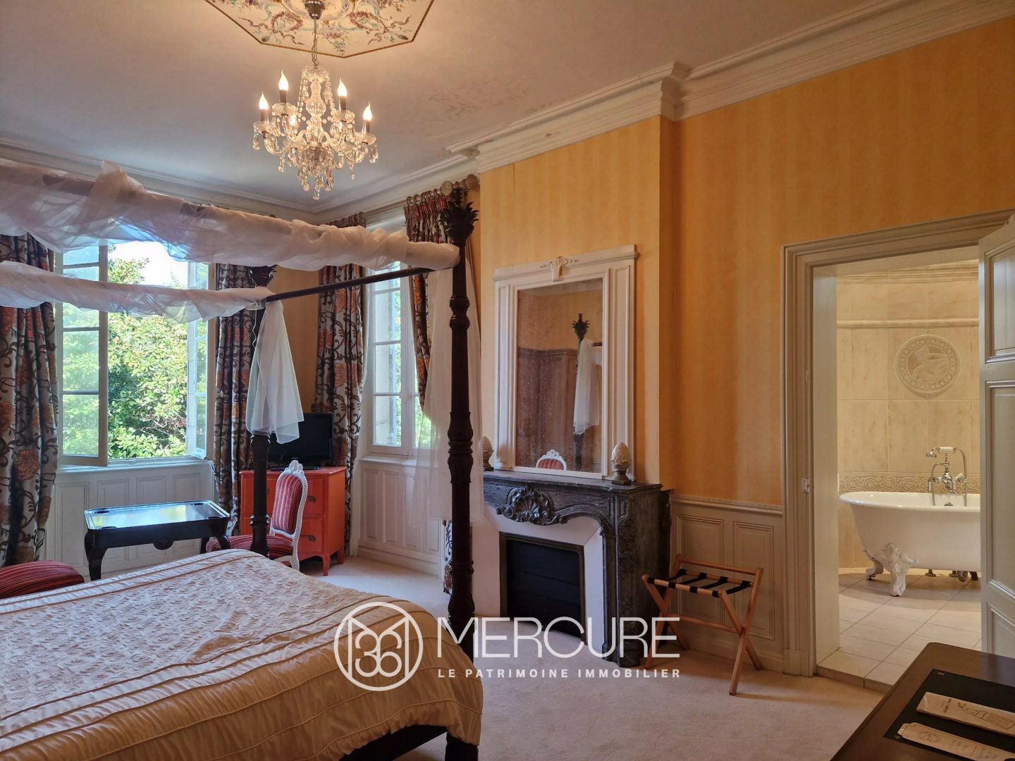 AQUITAINE – LUXUEUX CHATEAU - 900680bx