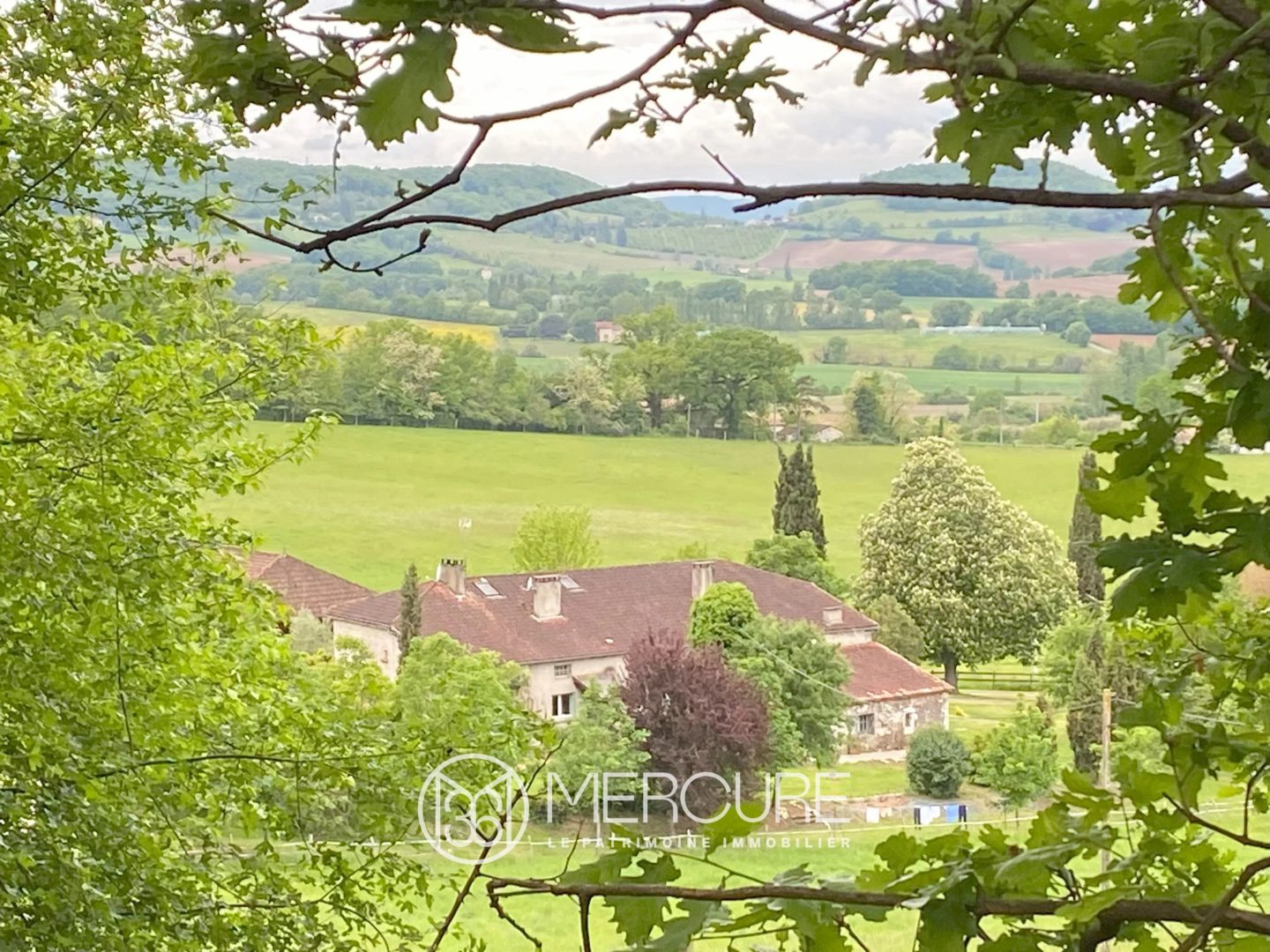 PROPRIÉTÉ 40 HA – 17 BOXES – BOIS PRAIRIES ET PISCINE – PENNE- D’AGENAIS (47) - 900973bx