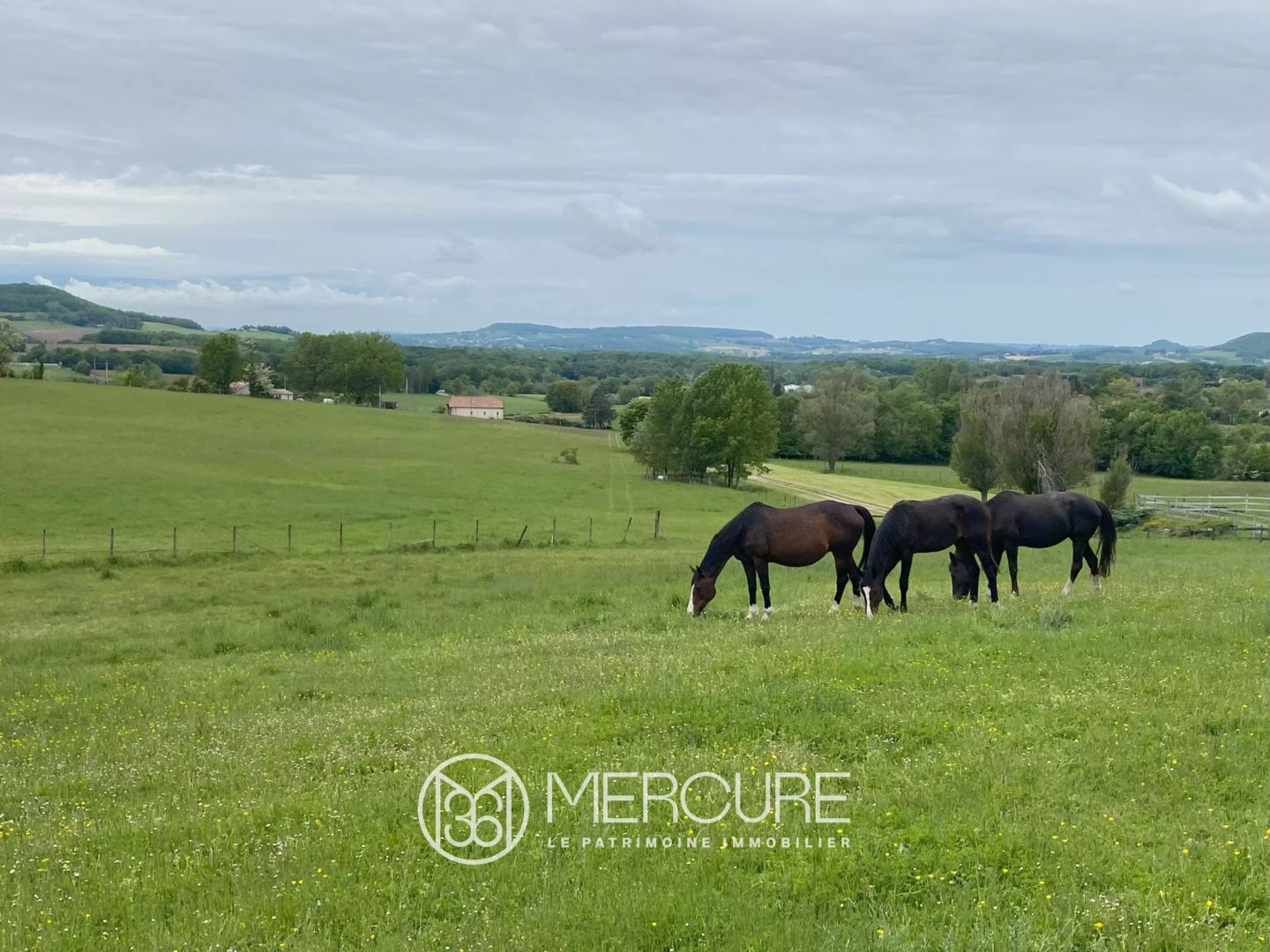 PROPRIÉTÉ 40 HA – 17 BOXES – BOIS PRAIRIES ET PISCINE – PENNE- D’AGENAIS (47) - 900973bx