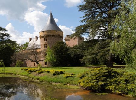 LOIRE – EXCEPTIONNEL CHATEAU RENAISSANCE - 4536LY