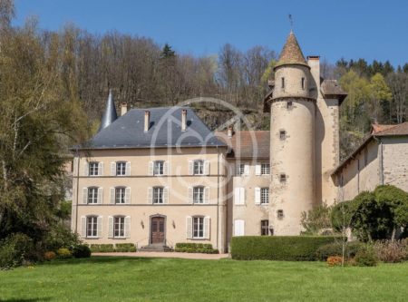 ALLIER, MONTAGNE BOURBONNAISE, CHATEAU DE BOURG XIV-XIXME ISMH DE 990M² ET DEPENDANCES SUR 2.7 HA - 20360AU