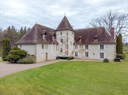 Manoir  de 16 pièces avec parc de 8 hectares - PE20259LI
