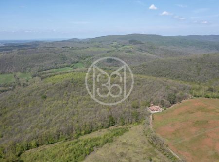 DOMAINE BOISE – PARC D AGREMENT - 8800TS