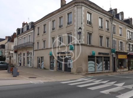 IMMEUBLE DE RAPPORT A LE BLANC (36) - 9100PO