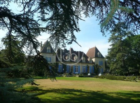 MAGNIFIQUE CHÂTEAU XVIIEME PROCHE DE BERGERAC - 900813bx