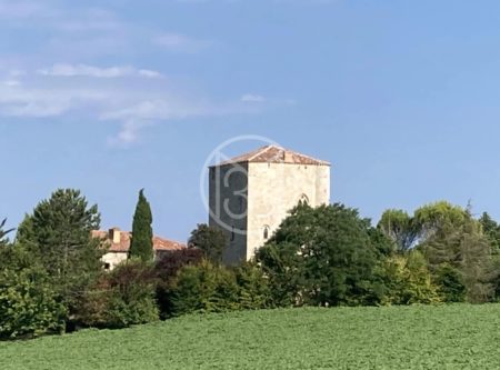 MANSION – 13TH &14TH-C TOWER – OUTBUILDINGS - 8415TS
