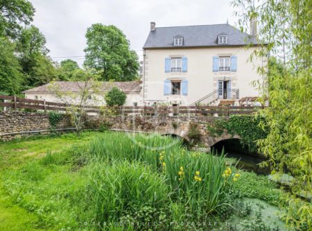 Very beautiful mill in a green setting - 23111