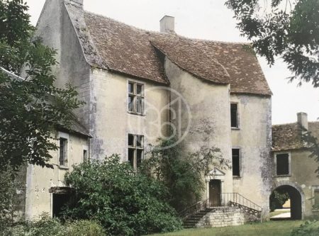 Château fort, deux habitations et parc d’un hectare. - 20418CL