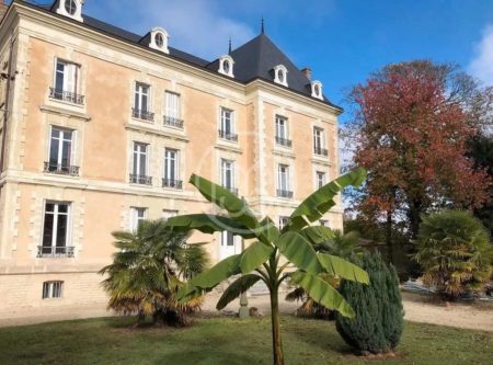 19th C. LOGIS WITH GUEST HOUSE AND 18th C. OUTBUILDINGS - 14189vm