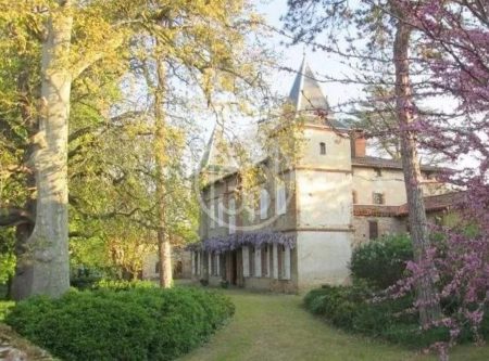 CHATEAU – DEPENDANCES – MAISON DE GARDIEN – 3HA – 45 MN DE TOULOUSE - 8182TS