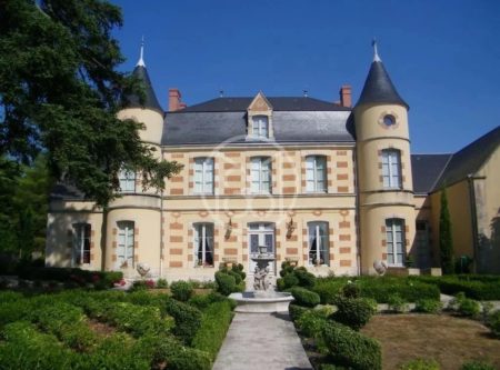 RENOVATED CHATEAU WITH SWIMMING POOL AND FRENCH GARDEN NEAR POITIERS - 14348vm