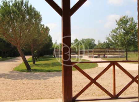DORDOGNE – PROPRIETE EQUESTRE – 19 HA - 900700bx