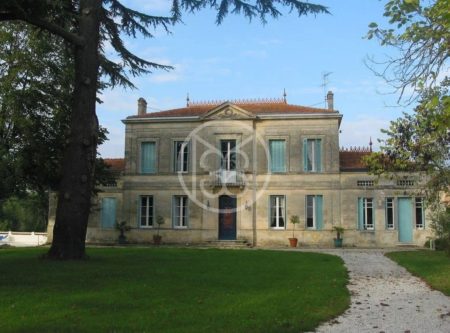 CHATEAU AVEC VIGNOBLE - 900755bx