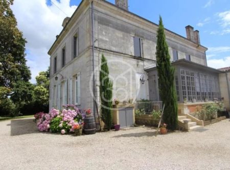 SOUTH GIRONDE – PORTES DU SAUTERNAIS – 2 RENOVATED HOUSES – 877M2 – PARK 8 000M2 - 900512vm