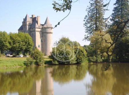 Center of France, remarkable 14th century chateau set on 13 hectares - 20327cl