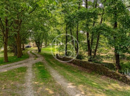 Vendée Challans – 15th century castle and its parkland - 2246VE