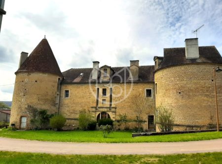 CHÂTEAU DU XVème siècle, 3800 m² de TERRAIN - 1687MHL