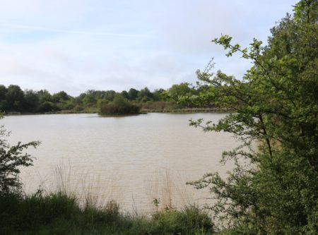 ENCLOS CYNEGETIQUE SUR 112,50 HECTARES - 9222PO