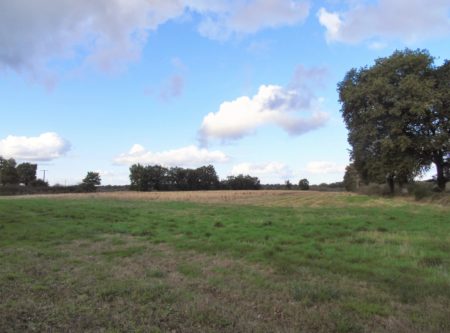 A VENDRE, PROPRIÉTÉ AGRICOLE DE 119 HA DANS LE MONTMORILLONAIS - 9114