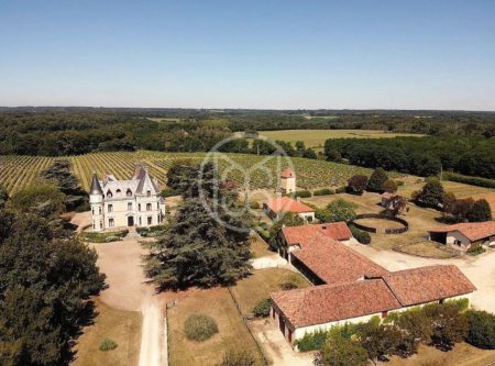 CHATEAU XIXE – ECURIE – VIGNES – 74HA - 8742TS