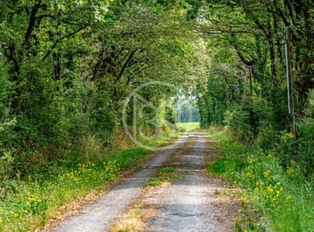 SUD LOIRE-ATLANTIQUE – Propriété de famille, parc de 6 Ha et bois de 17 Ha. - 2279VE