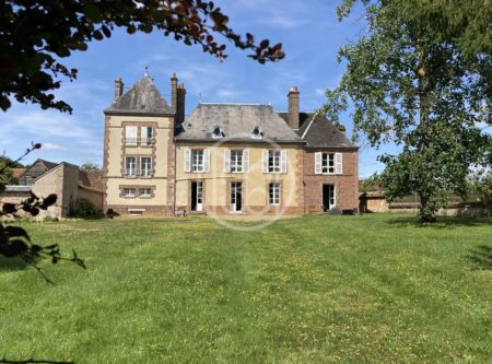 LE PERCHE – CHÂTEAU DU XIXe – DEPENDANCES – PARC 2HA – PISCINE - 19932NO