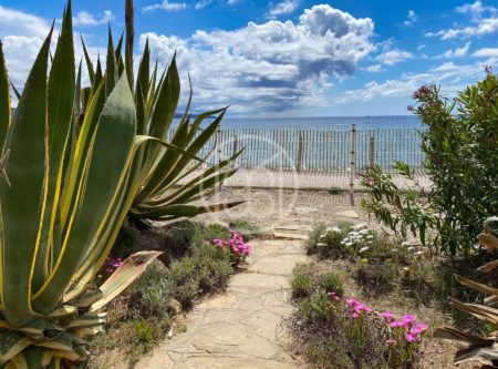 Apartment with sea view and direct beach access - 20465CA