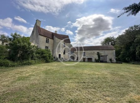 Château fort, deux habitations et parc d’un hectare. - 20418CL